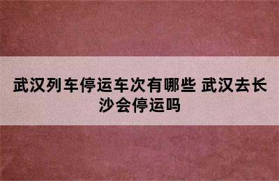 武汉列车停运车次有哪些 武汉去长沙会停运吗